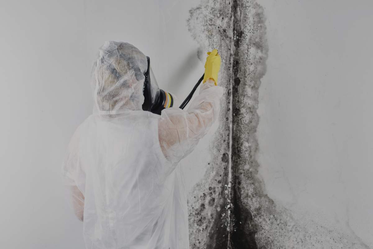 Preventing Mold Growth in Lake Orion Homes